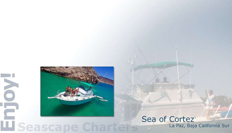 Seascape Charters - Sailboat, Powerboat, and RV Chartering in La Paz Mexico.