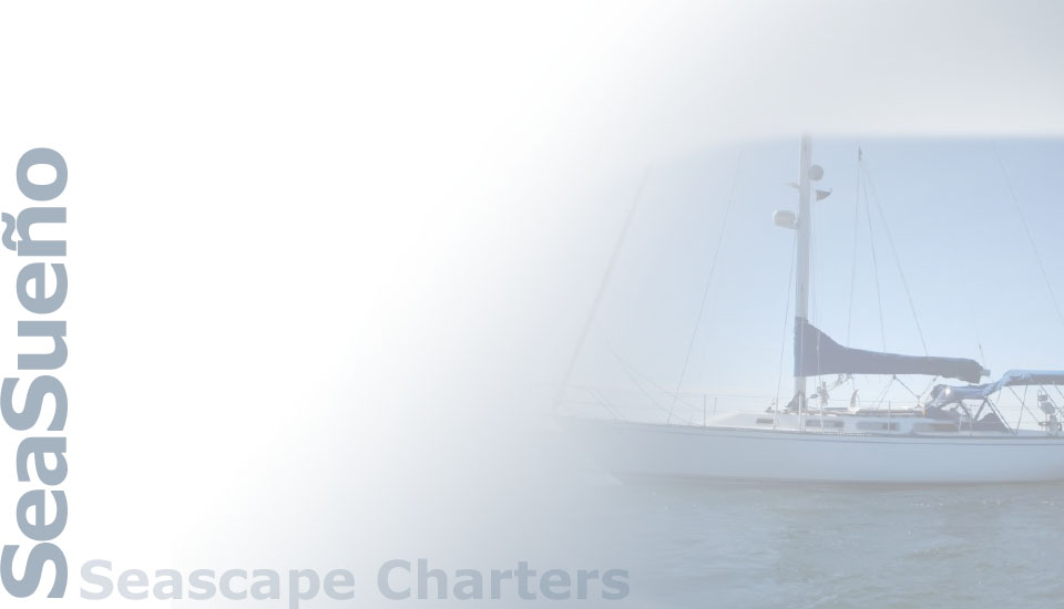 Seascape Charters - Sailboat, Powerboat, and RV Chartering in La Paz Mexico.