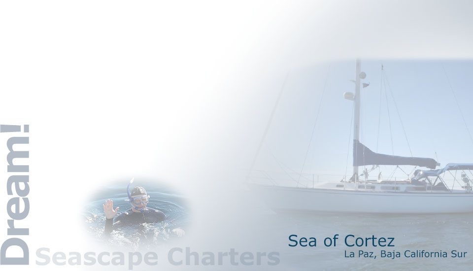 Seascape Charters - Sailboat, Powerboat, and RV Chartering in La Paz Mexico.