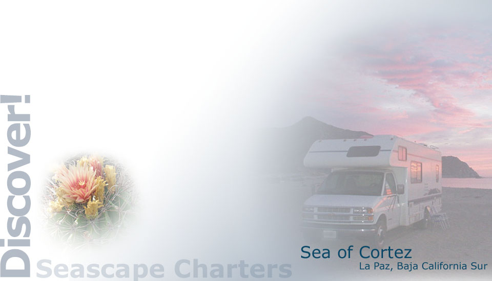 Seascape Charters - Sailboat, Powerboat, and RV Chartering in La Paz Mexico.