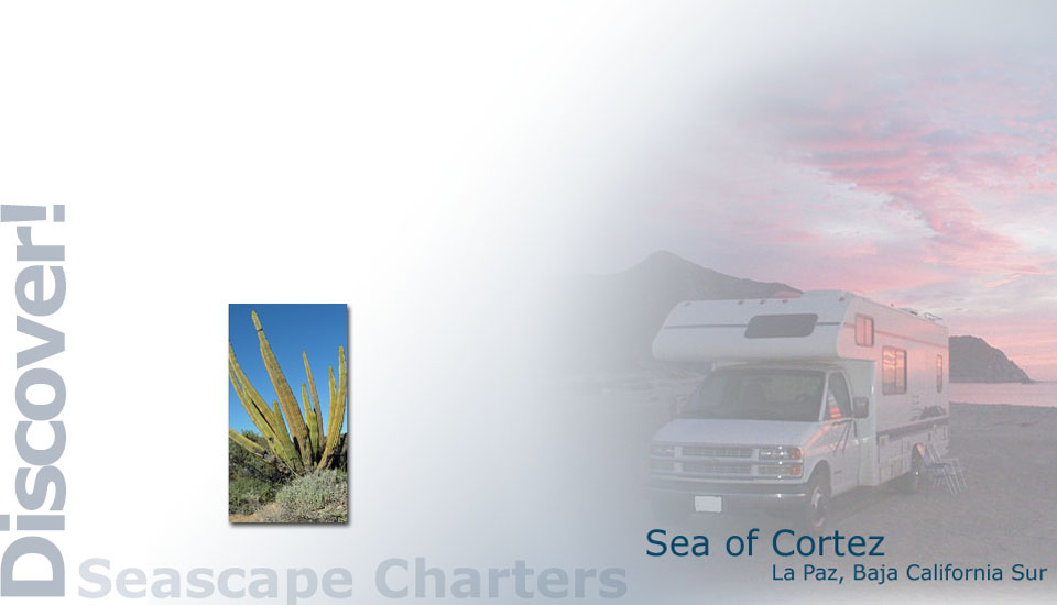 Seascape Charters - Sailboat, Powerboat, and RV Chartering in La Paz Mexico.