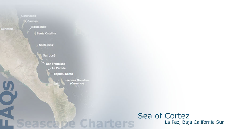 Seascape Charters - Sailboat, Powerboat, and RV Chartering in La Paz Mexico.