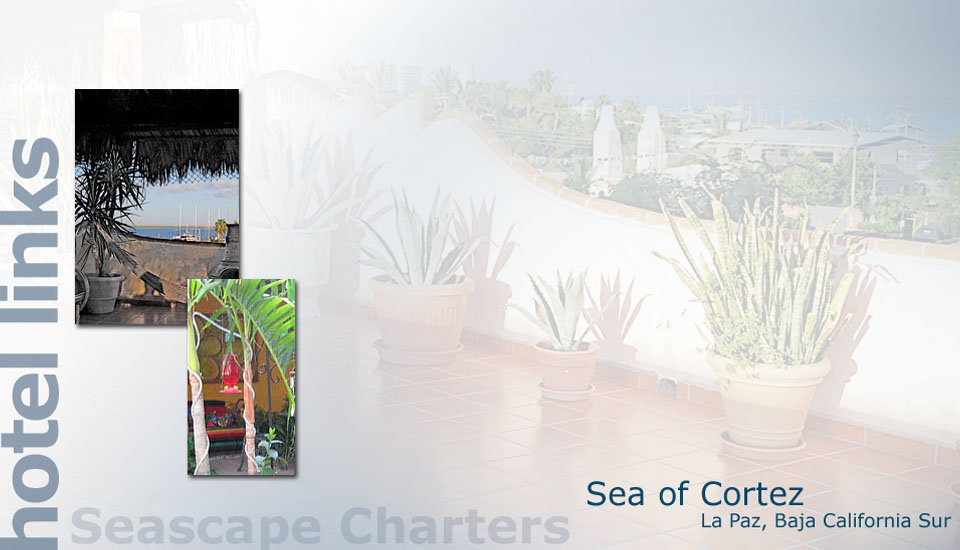 Seascape Charters - Sailboat, Powerboat, and RV Chartering in La Paz Mexico.
