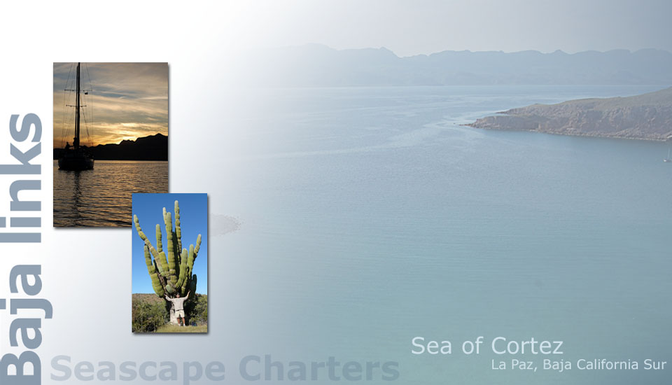 Seascape Charters - Sailboat, Powerboat, and RV Chartering in La Paz Mexico.