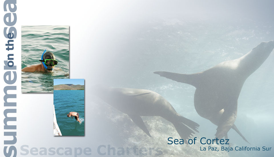 Seascape Charters - Sailboat, Powerboat, and RV Chartering in La Paz Mexico.